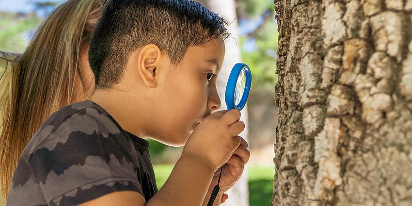 young boy with magnifying glass studies the bark of a tree