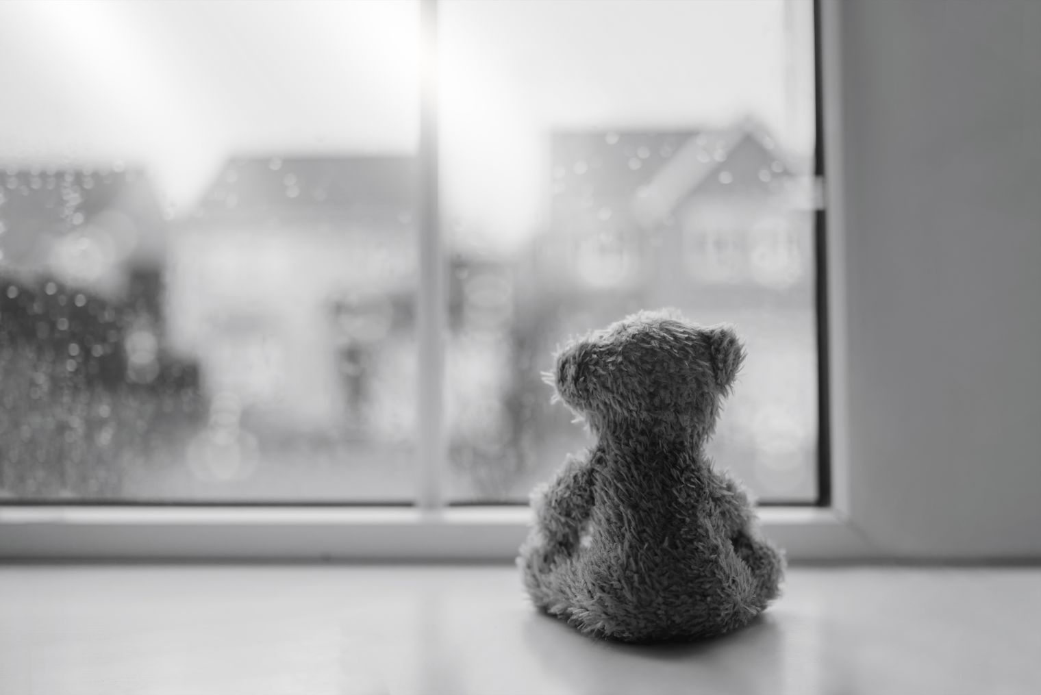 gray photo of back of teddy bear facing window